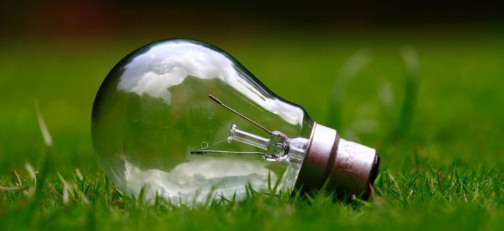 green energy light bulb